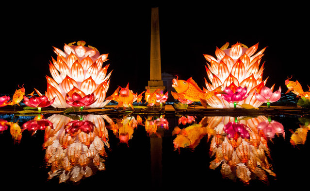 Light sculptures are reflected in the lotus pool during a photocall to promote the Magical Lantern Festival at Chiswick House Gardens in west London on January 29, 2016. (Photo by Justin Tallis/AFP Photo)