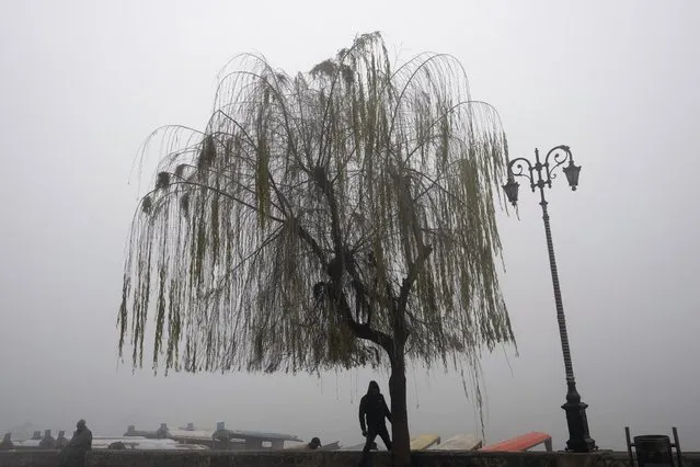 A Kashmiri man stands under a willow tree as he waits for customers to ride his shikara, a traditional row-boat gondola, on the banks of Dal Lake on a cold and foggy morning in Srinagar, Indian controlled Kashmir, Friday, December 29, 2023. Cold conditions continued in most parts of Kashmir with fog affecting air traffic and normal life. (Photo by Dar Yasin/AP Photo)