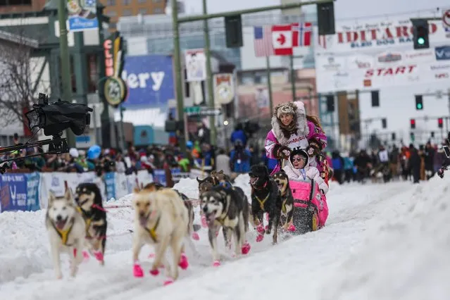 Alaskan musher DeeDee Jonrowe and her team leave the ceremonial start of the Iditarod Trail Sled Dog Race to begin the near 1,000-mile (1,600-km) journey through Alaska’s frigid wilderness in downtown Anchorage, Alaska March 5, 2016. (Photo by Nathaniel Wilder/Reuters)