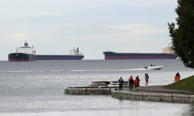 Cargo ships anchor in English Bay off Stanley Park, outside the Port of Vancouver, British Columbia, Canada November 19, 2016. (Photo by Chris Helgren/Reuters)