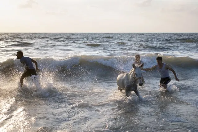 Palestinians enjoy their time while giving a bath to donkey on the beach of Gaza City, Friday, July 16, 2021. (Photo by Khalil Hamra/AP Photo)