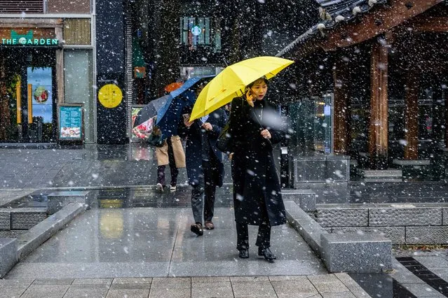 Pedestrians use umbrellas to shelter themselves from falling snow in Seoul on February 15, 2024. (Photo by Anthony Wallace/AFP Photo)
