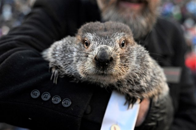 Groundhog Club handler A.J. Dereume holds Punxsutawney Phil, the weather prognosticating groundhog, during the 137th celebration of Groundhog Day on Gobbler's Knob in Punxsutawney, Pa., Thursday, February 2, 2023. Phil's handlers said that the groundhog has forecast six more weeks of winter. (Photo by Barry Reeger/AP Photo)