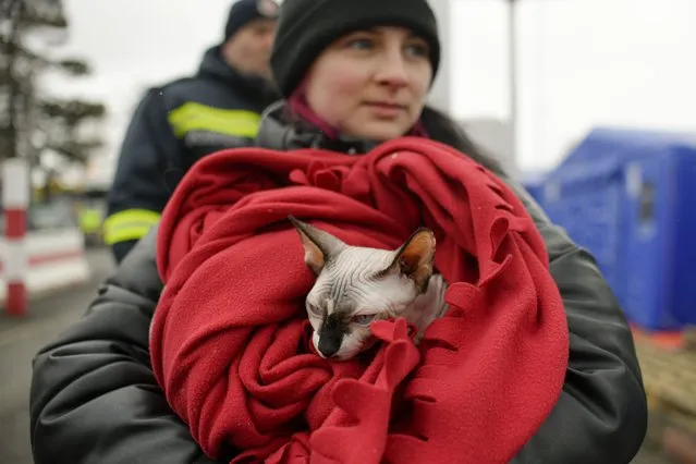 A refugee fleeing the conflict from neighbouring Ukraine holds her pet cat at the Romanian-Ukrainian border, in Siret, Romania, Saturday, March 5, 2022. (Photo by Andreea Alexandru/AP Photo)
