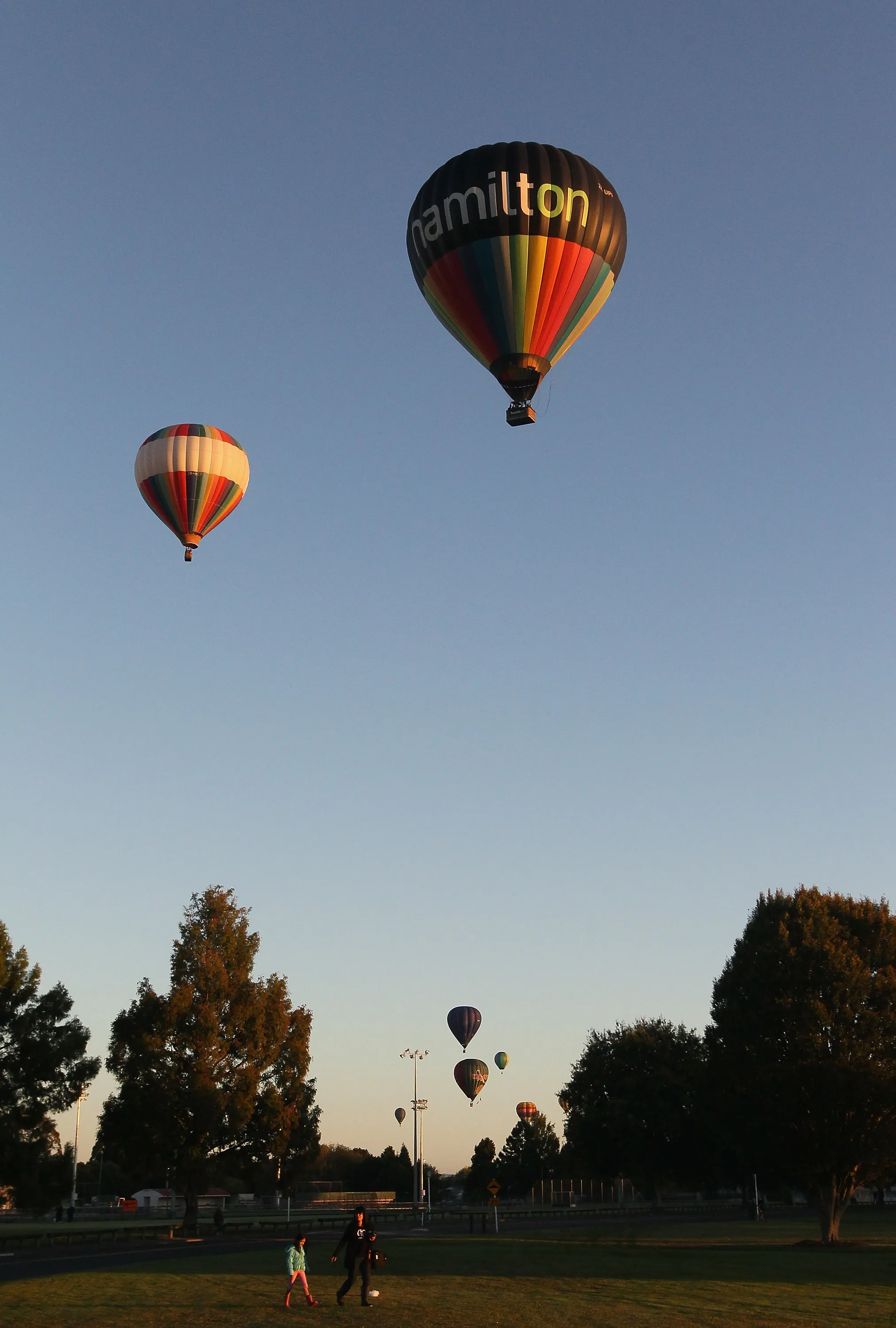 Balloons over Waikato Festival