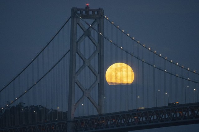 A full moon rises over a tower of the San Francisco-Oakland Bay Bridge in San Francisco, Thursday, January 25, 2024. (Photo by Eric Risberg*AP Photo)