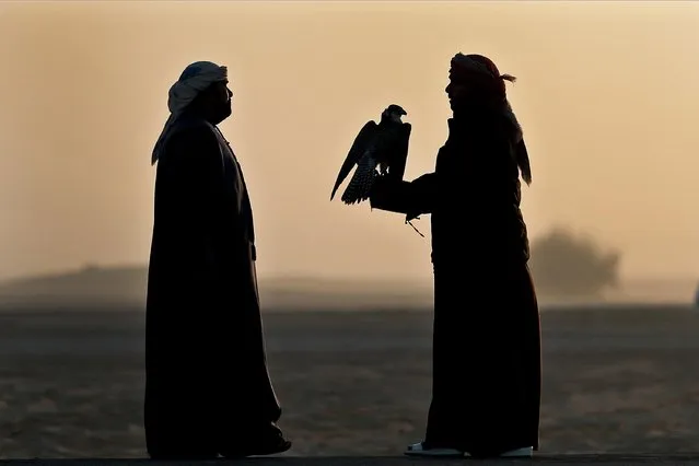 A man stands with his gyrfalcon during the Fazza Championship for Falconry in Dubai, United Arab Emirates (UAE), 30 December 2019. The Fazza Championship for Falconry is sponsored by Dubai's Crown Prince Sheikh Hamdan bin Mohammed bin Rashid Al Maktoum. Falconry, locally known as “kanas” is an integral part of the heritage of the UAE. The falconry tournaments run until the end of March 2020. (Photo by Ali Haider/EPA/EFE)