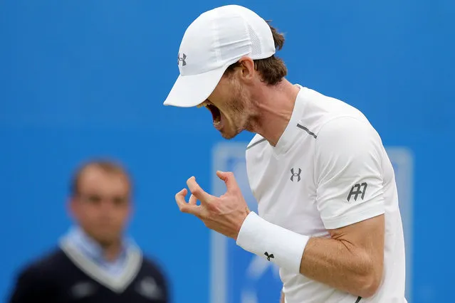 Britain's Andy Murray shouts after losing a point to Croatia's Marin Cilic during their semifinal tennis match on the sixth day of the Queen's Championships London, England, June 18, 2016. (Photo by Tim Ireland/AP Photo)