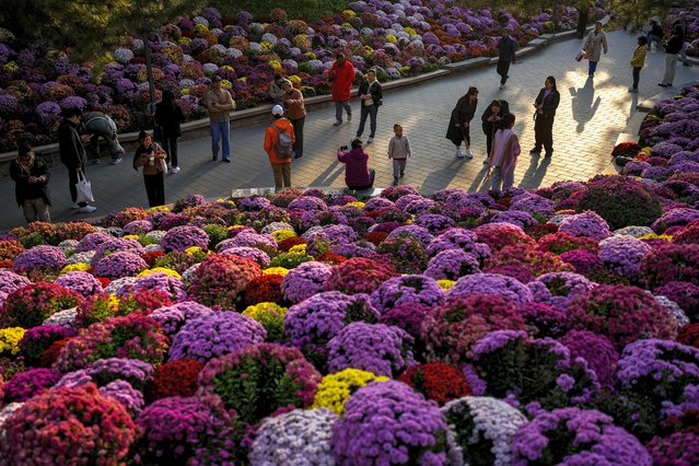 Residents gather near flower blossoms as they take an evening walk at a public park in Beijing, Monday, October 21, 2024. (Photo by Andy Wong/AP Photo)