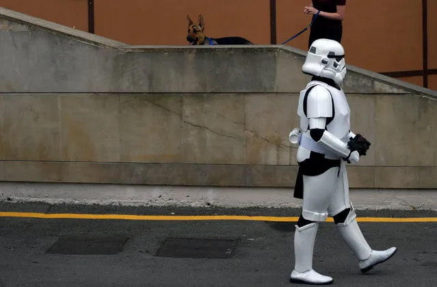 A person wearing a Star Wars stormtrooper costume walks during the Metropoli (Media Culture and Entertainment Festival) in Gijon, northern Spain, July 1, 2016. (Photo by Eloy Alonso/Reuters)