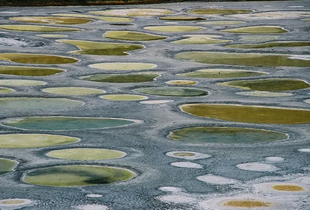 Kliluk, the Spotted Lake, Canada 