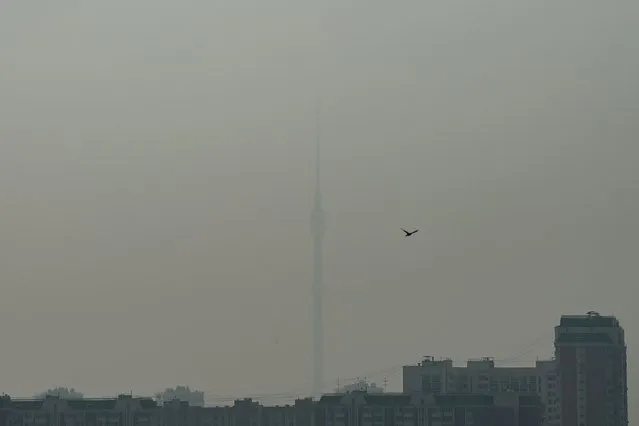 This photograph taken on August 22, 2022, shows the 540-metres tall Ostankino TV tower through a smog caused by a forest fire in Moscow. Thick smog blanketed Moscow as it blew in from nearby forest fires, which hundreds of firefighters and several aircraft were battling the blazes in the Ryazan region, some 250 kilometres (155 miles) southeast of Moscow, the emergencies ministry said. (Photo by Kirill Kudryavtsev/AFP Photo)