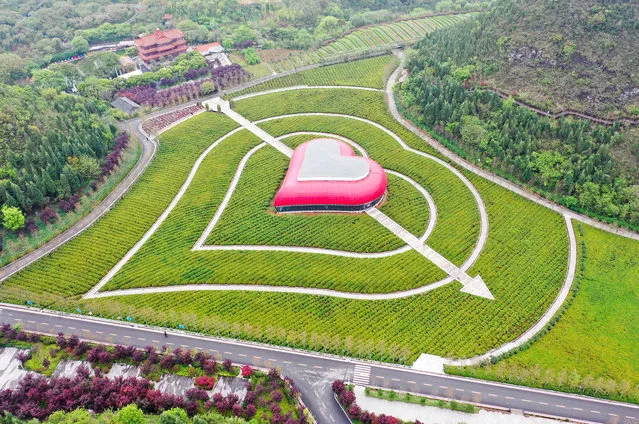 View of the heart-shaped “love house” buit in a rape flower field in Qiandongnan Miao and Dong autonomous prefecture in southwest China's Guizhou province on April 13, 2020. (Photo by Rex Features/Shutterstock)