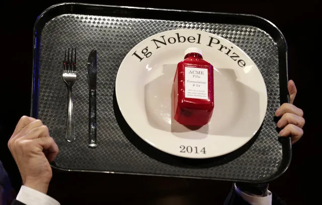 The 2014 Ig Nobel Prize trophy is hoisted high during a performance at the Ig Nobel Prize ceremony at Harvard University, in Cambridge, Mass., Thursday, September 18, 2014. The Ig Nobel prize is an award handed out by the Annals of Improbable Research magazine for silly sounding scientific discoveries that often have surprisingly practical applications. (Photo by Charles Krupa/AP Photo)