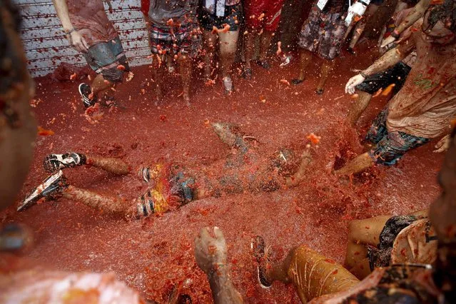 A man falls to the ground as he takes part during the traditional annual tomato fight, known as “Tomatina” in Bunol, eastern Spain, 31 August 2016. (Photo by Kai Forsterling/EPA)