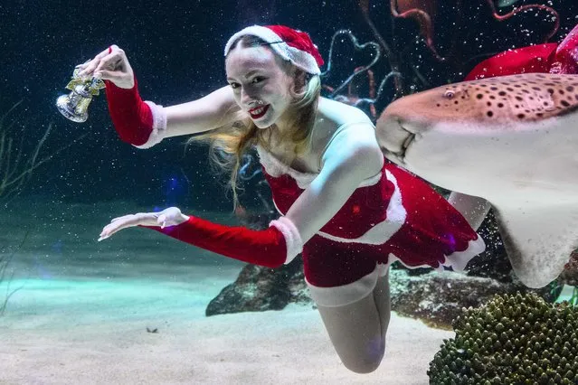 A diver wearing a Santa Claus outfit performs during a Christmas-themed underwater show at the Aqua Planet 63 aquarium in Seoul on December 8, 2022. (Photo by Anthony Wallace/AFP Photo)