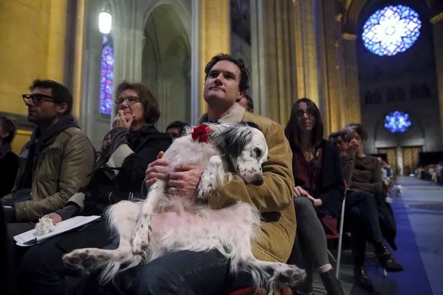 Jason Baker and dog, Iggy, attend the 31st annual Feast of Saint Francis and Blessing of the Animals at The Cathedral of St. John the Divine in the Manhattan borough of New York on October 4, 2015. (Photo by Elizabeth Shafiroff/Reuters)