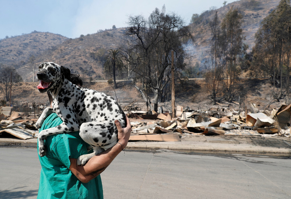 Pictures of the Year 2024, Part 045/240