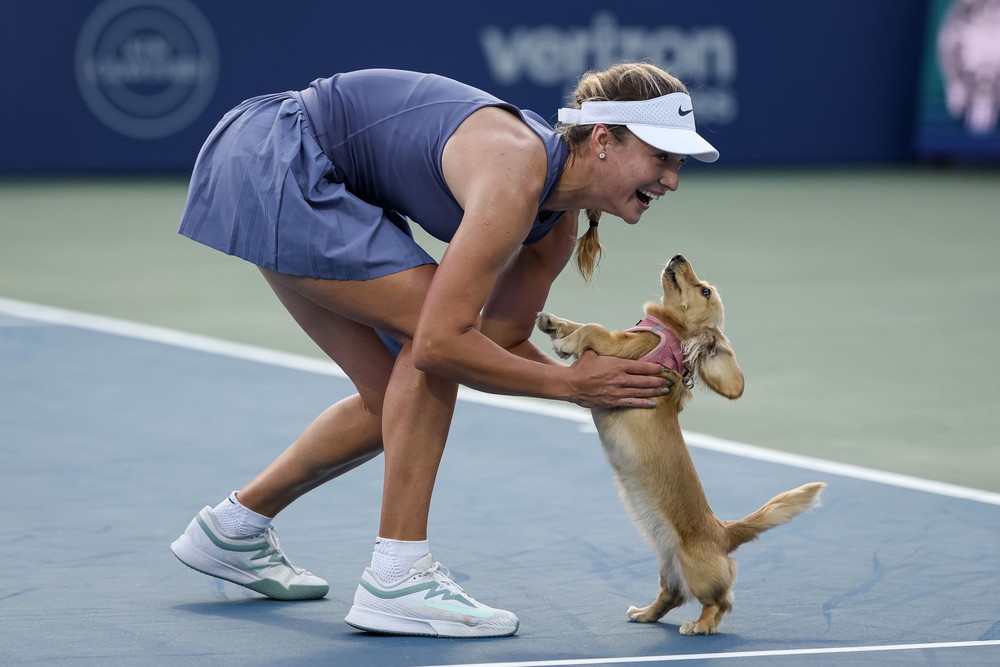 Sport last Week, Part 1/3