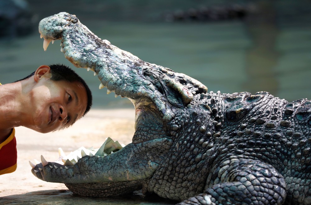 Pictures of the Year 2024, Part 084/240