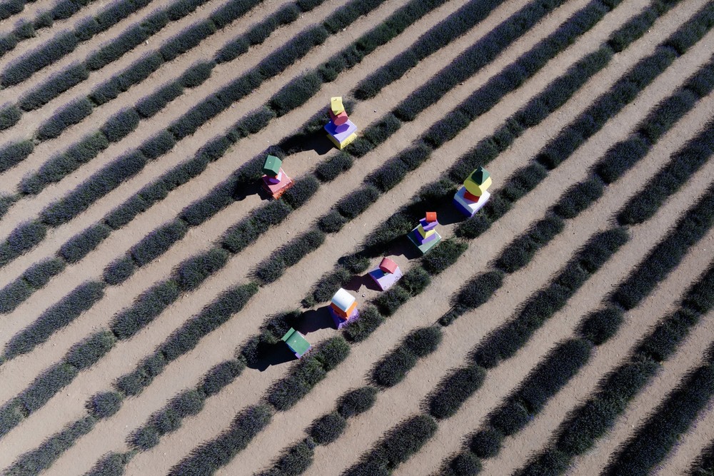 A Look at Life in Turkey