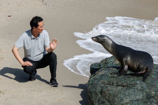 A man approaches a sea lion on the beach in the La Jolla neighborhood of San Diego, California, on September 3, 2025. (Photo by Mike Blake/Reuters)