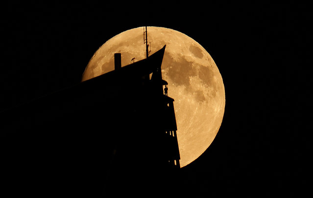 An illuminated waxing gibbous moon rises behind 30 Hudson Yards as a person takes part in City Climb at the top of the building the day before the full Harvest Supermoon in New York City on October 5, 2025, as seen from Hoboken, New Jersey. (Photo by Gary Hershorn/Getty Images)
