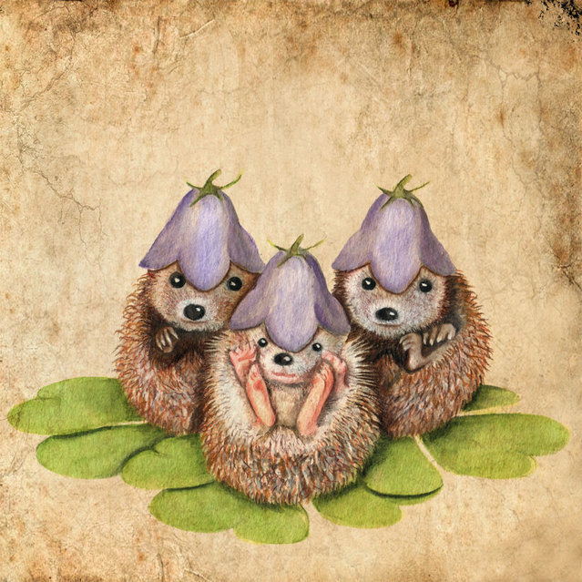 Cute Hedgehogs By Anne Boux