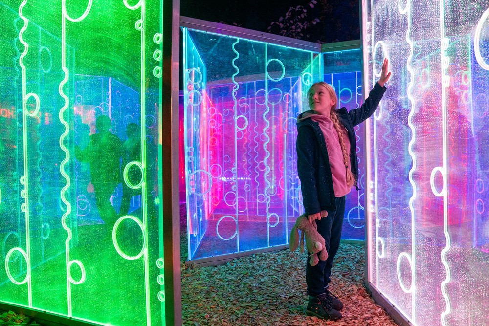 Some Photos: Contemporary Art