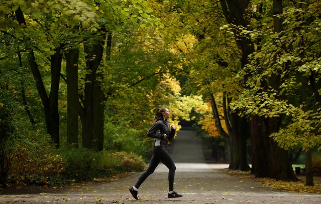 A woman runs during an autumn day at the Royal Lazienki Park in Warsaw, Poland October 20, 2016. (Photo by Kacper Pempel/Reuters)