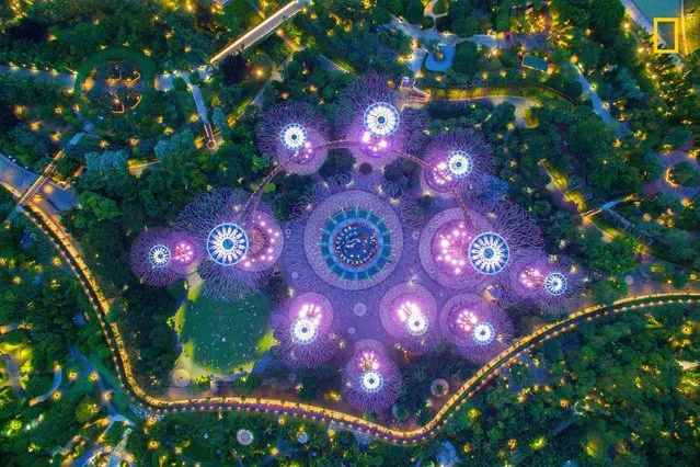 “Botanic Garden”. “The famous high Supertree Grove made by steel for tourists in Gardens by the Bay in Singapore from a drone”. (Photo by Son Tong/National Geographic Travel Photographer of the Year Contest)