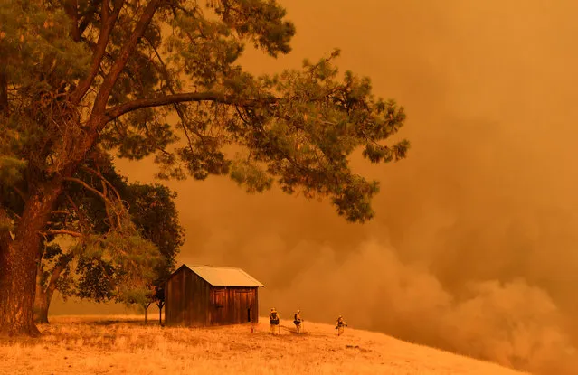 Firefighters watch as flames from the County Fire climb a hillside in Guinda, California, on July 1, 2018. Californian authorities have issued red flag weather warnings and mandatory evacuation orders after a series of wildfires fanned by high winds and hot temperatures ripped through thousands of acres. The latest blaze, the County Fire sparked in Yolo County on June 30, had by July 1 afternoon spread across 22,000 acres (9,000 hectares) with zero percent containment, according to Cal Fire. (Photo by Josh Edelson/AFP Photo)