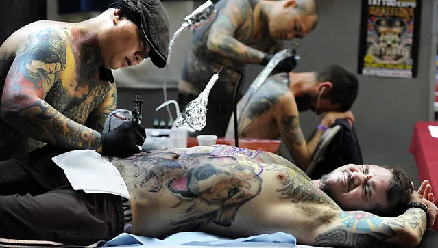 A man gets her tattoo done at the London Tattoo Convention in London, Britain, 27 September 2013. The International London Tattoo Convention running from 27 to 29 September brings together tattoo artists from the US, Australia, Canada, Japan and UK. (Photo by Facundo Arrizabalaga/EPA)