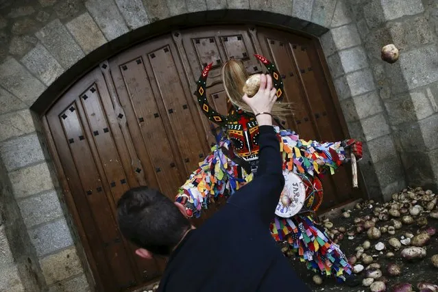 Revellers throw turnips at the Jarramplas, a character who wears a devil-like mask and a colourful costume, as he makes his way through the streets while beating his drum during the Jarramplas traditional festival in Piornal, southwestern Spain, January 20, 2016. (Photo by Susana Vera/Reuters)