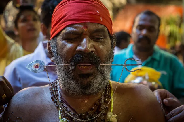 A man with a pierced mouth heads toward the Batu caves during the Thaipusam festival celebrations in Kuala Lumpur on January 24, 2016. (Photo by Guillaume Payen/NurPhoto/Corbis)