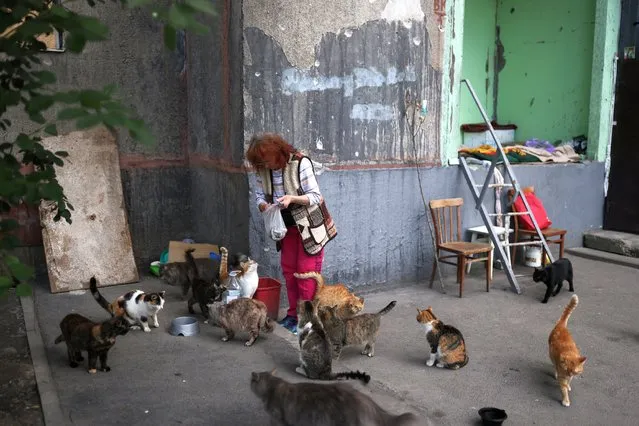Natalia Pasternak, 68, who is the only person left in her building and lives in the basement, carries food for cats that were abandoned by families who fled the war in her neighbourhood of northern Saltivka, one of the most damaged residential areas of Kharkiv, as Russia's invasion of Ukraine continues, in Kharkiv, Ukraine on July 13, 2022. (Photo by Nacho Doce/Reuters)