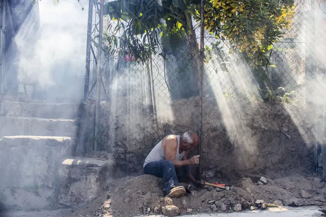 A man works on a fence amidst a cloud of insecticide as city workers fumigate to combat the Aedes Aegypti mosquitoes that transmits the Zika virus, at the San Judas Community in San Salvador, El Salvador, Tuesday, January 26, 2016.  Worries about the rapid spread of Zika through the hemisphere has prompted officials in El Salvador, Colombia and Brazil to suggest women stop getting pregnant until the crisis has passed. (Photo by Salvador Melendez/AP Photo)
