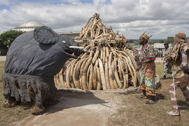 Malawian Gulewamkulu dancers symbolically mourn elephants killed by poachers next to a pile of elephant ivory tusks whose burning was postponed during World Wildlife Day commemoration at the Parliament Building in the capital Lilongwe, April 2, 2015. (Photo by Amos Gumulira/AFP Photo)