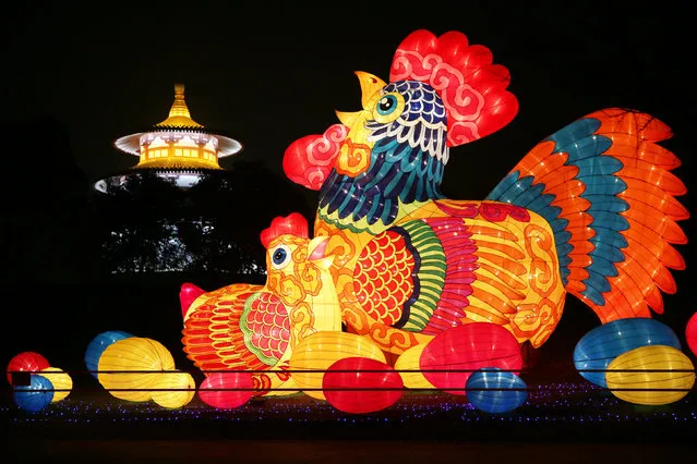 A rooster lantern is seen at a lantern fair ahead of the Spring Festival in Xi'an, Shaanxi province, China, January 18, 2017. (Photo by Reuters/Stringer)