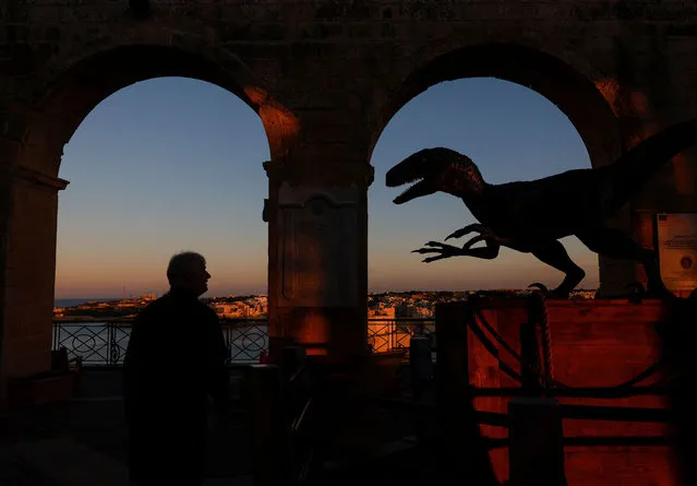 A man looks at a model of Blue, a velociraptor from the Hollywood movie “Jurassic Park: Dominion”, which was partly filmed and set in Malta, at the Upper Barrakka Gardens overlooking Grand Harbour in Valletta, Malta on December 1, 2022. (Photo by Darrin Zammit Lupi/Reuters)