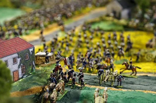 Figurines representing the French army are seen on a 40-square-metre miniature model of the June 18, 1815 Waterloo battlefield, in Diest, Belgium, in this picture taken on April 29, 2015. (Photo by Francois Lenoir/Reuters)