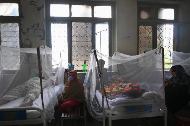 Relatives sit next patients suffering from dengue fever resting under a mosquito net at a hospital in Lahore on September 29, 2021. (Photo by Arif Ali/AFP Photo)