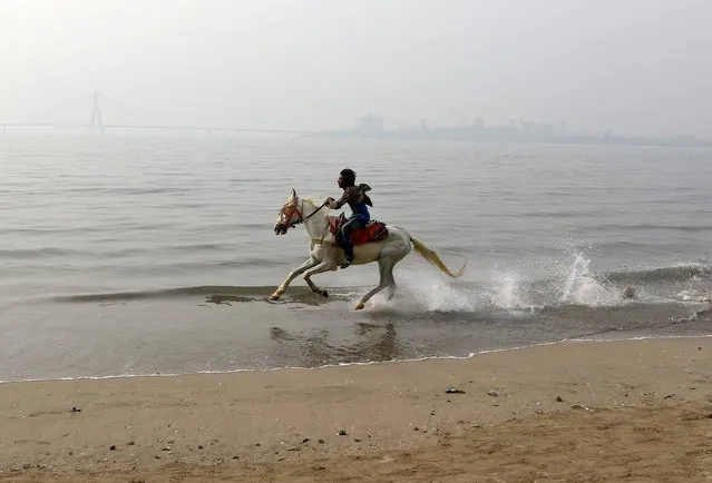 A man rides a horse along the shores of the Arabian Sea in Mumbai, India, February 16, 2017. (Photo by Shailesh Andrade/Reuters)
