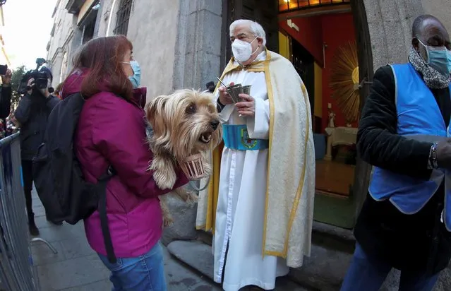 A woman holds her dog to be blessed outside St. Anton Church to mark St. Anton Day, Animal patron saint, in downtown Madrid, Spain, 17 Jan​uary 2022. (Photo by David Fernandez/EPA/EFE)