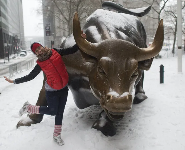 A tourist poses for a photo with the bull on Broadway March 14, 2017 in New York. Winter Storm Stella unleashed its fury on much of the northeastern United States on March 14 dropping snow and sleet across the region and leading to school closures and thousands of flight cancellations. Stella, the most powerful winter storm of the season, was forecast to dump up to two feet (60 centimeters) of snow in New York and whip the area with combined with winds of up to 60 miles per hour (95 kilometers per hour), causing treacherous whiteout conditions. But after daybreak the National Weather Service (NWS) revised down its predicted snow accumulation for the city of New York, saying that the storm had moved across the coast. (Photo by Don Emmert/AFP Photo)