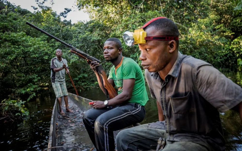 Congolese Hunters