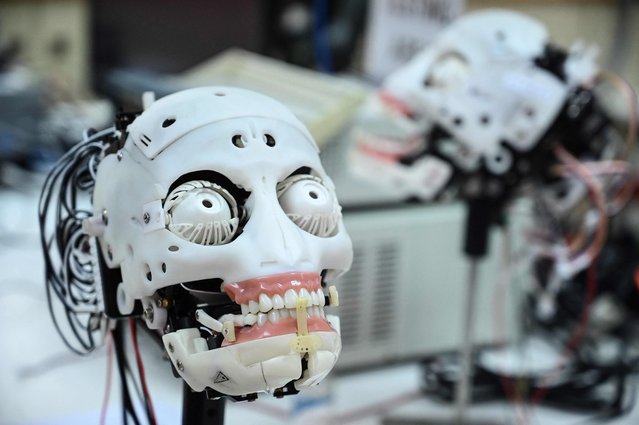 This photo taken on May 10, 2023 shows a robot being assembled at Hanson Robotics, a robotics and artificial intelligence company which creates human-like robots, in Hong Kong. (Photo by Peter Parks/AFP Photo)