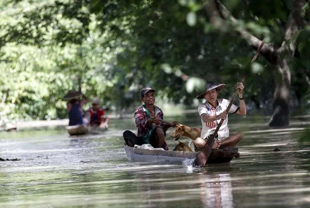 Men row boats on the flooded street in Kalay township at Sagaing division August 2, 2015. (Photo by Soe Zeya Tun/Reuters)