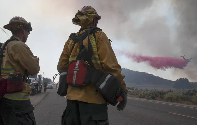 Two fire captains with the Loma Linda Fire Department watch as a tanker flies in low to drop fire retardant on a wildfire burning close to Highway 94 near Potrero, Calif., on Monday, June 20, 2016. (Photo by Hayne Palmour IV/San Diego Union-Tribune via AP Photo)