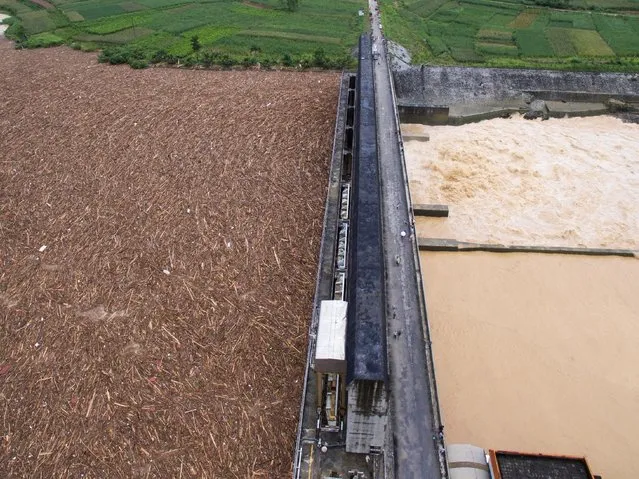 Timber flows on the upper stream of a hydropower station on a flooded river, in Yizhou, Guangxi Zhuang Autonomous Region, in China, July 5, 2016. (Photo by Reuters/Stringer)